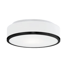 Load image into Gallery viewer, Charlie Flush Mount Ceiling Light in Black (Bulb Not Included).