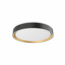 Load image into Gallery viewer, Essex LED Flush Mount Ceiling Light in Black/Gold (Small).
