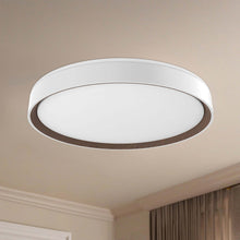 Load image into Gallery viewer, Essex LED Flush Mount Ceiling Light in Detail.