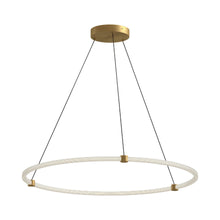 Load image into Gallery viewer, Bruni LED Pendant Light in Brushed Gold (48-Inch).