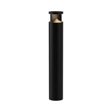 Load image into Gallery viewer, Dover Outdoor LED Path Light (Large).