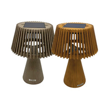 Load image into Gallery viewer, Enoki Outdoor Solar LED Table Lamp in Detail.