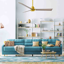 Load image into Gallery viewer, Alessandra Indoor / Outdoor Ceiling Fan in living room.