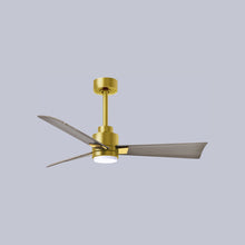 Load image into Gallery viewer, Alessandra Indoor / Outdoor LED Ceiling Fan in Detail.