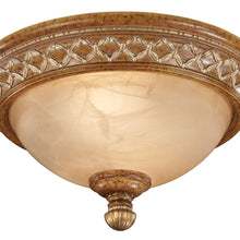 Load image into Gallery viewer, 800-196C Flush Mount Ceiling Light in Detail.