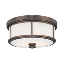 Load image into Gallery viewer, Harbour Point Flush Mount Ceiling Light in Harbour Point Bronze.