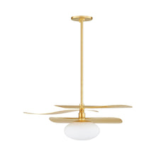 Load image into Gallery viewer, Allida Pendant Light.