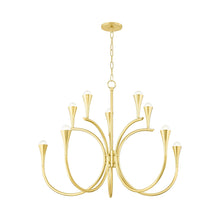 Load image into Gallery viewer, Aviana Chandelier (10-Light).