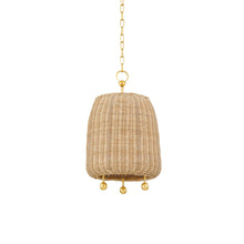 Load image into Gallery viewer, Elena Pendant Light in Detail.