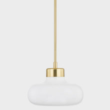Load image into Gallery viewer, Eliana Pendant Light in Detail.