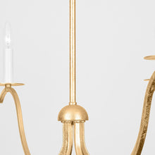 Load image into Gallery viewer, Jaclin Chandelier in Detail.