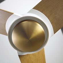 Load image into Gallery viewer, Ambit DC Flush Mount Ceiling Fan in Detail.