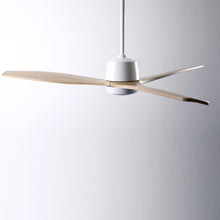 Load image into Gallery viewer, Arbor DC Ceiling Fan in Detail.