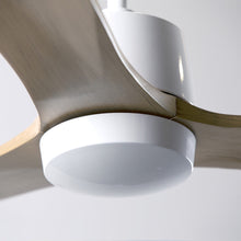 Load image into Gallery viewer, Arbor DC Ceiling Fan in Detail.