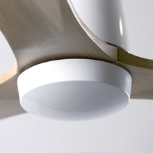 Load image into Gallery viewer, Arbor DC Flush Mount Ceiling Fan in Detail.