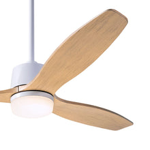 Load image into Gallery viewer, Arbor DC LED Ceiling Fan in Detail.