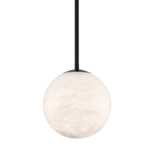 Load image into Gallery viewer, Pisces LED Pendant Light in Black.