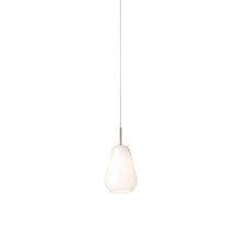 Load image into Gallery viewer, Anoli Pendant Light in Opal White (Small).