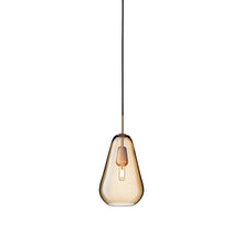 Load image into Gallery viewer, Anoli Pendant Light in Gold (Medium).