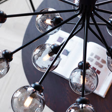 Load image into Gallery viewer, Apiales Chandelier in Detail.