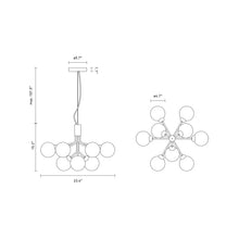 Load image into Gallery viewer, Apiales Chandelier - line drawing.
