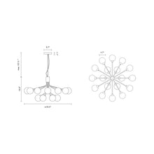Load image into Gallery viewer, Apiales Chandelier - line drawing.
