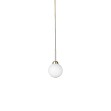 Load image into Gallery viewer, Apiales Pendant Light.
