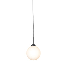 Load image into Gallery viewer, Apiales Pendant Light in Satin Black (Large).