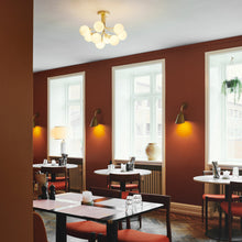 Load image into Gallery viewer, Apiales Semi Flush Mount Ceiling Light in restaurant.