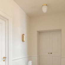 Load image into Gallery viewer, Rizzatto Flush Mount Ceiling Light in living room.