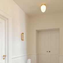 Load image into Gallery viewer, Rizzatto Flush Mount Ceiling Light in living room.
