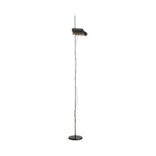 Load image into Gallery viewer, Colombo LED Floor Lamp in Anodic Bronze.