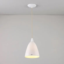 Load image into Gallery viewer, Hector Pendant Light in Detail.