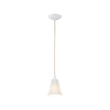 Load image into Gallery viewer, Hector Pleat Pendant Light.