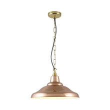 Load image into Gallery viewer, School 7200 Pendant Light.