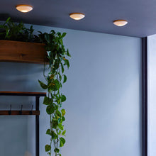 Load image into Gallery viewer, Sopra Recessed Downlight in Detail.