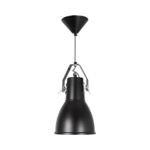 Load image into Gallery viewer, Stirrup Pendant Light in Black (Medium).