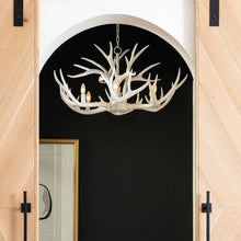 Load image into Gallery viewer, Antler Chandelier in living room.