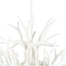 Load image into Gallery viewer, Antler Chandelier in Detail.