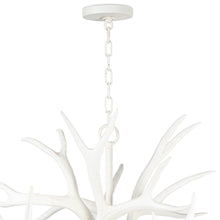 Load image into Gallery viewer, Antler Chandelier in Detail.