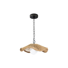 Load image into Gallery viewer, Coastal Living Provence Cafe Pendant Light.