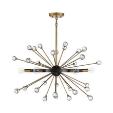 Load image into Gallery viewer, Ariel Chandelier in Detail.