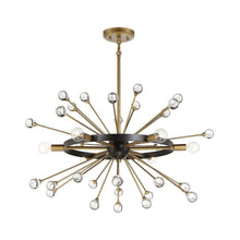 Load image into Gallery viewer, Ariel Chandelier in Detail.