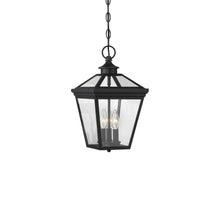 Load image into Gallery viewer, Ellijay Outdoor Pendant Light in Black (Small).