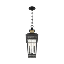Load image into Gallery viewer, Kingsley Outdoor Pendant Light in Detail.