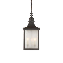 Load image into Gallery viewer, Monte Grande Outdoor Pendant Light in Detail.