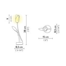 Load image into Gallery viewer, Tulip LED Table Lamp - line drawing.
