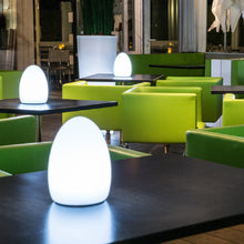 Load image into Gallery viewer, Egg Bluetooth Outdoor LED Lamp in restaurant.