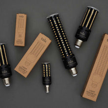 Load image into Gallery viewer, Light Engine II Medium Base T14 Type LED Bulb in Detail.
