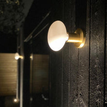 Load image into Gallery viewer, Lochan Oval Outdoor Wall Light in Detail.